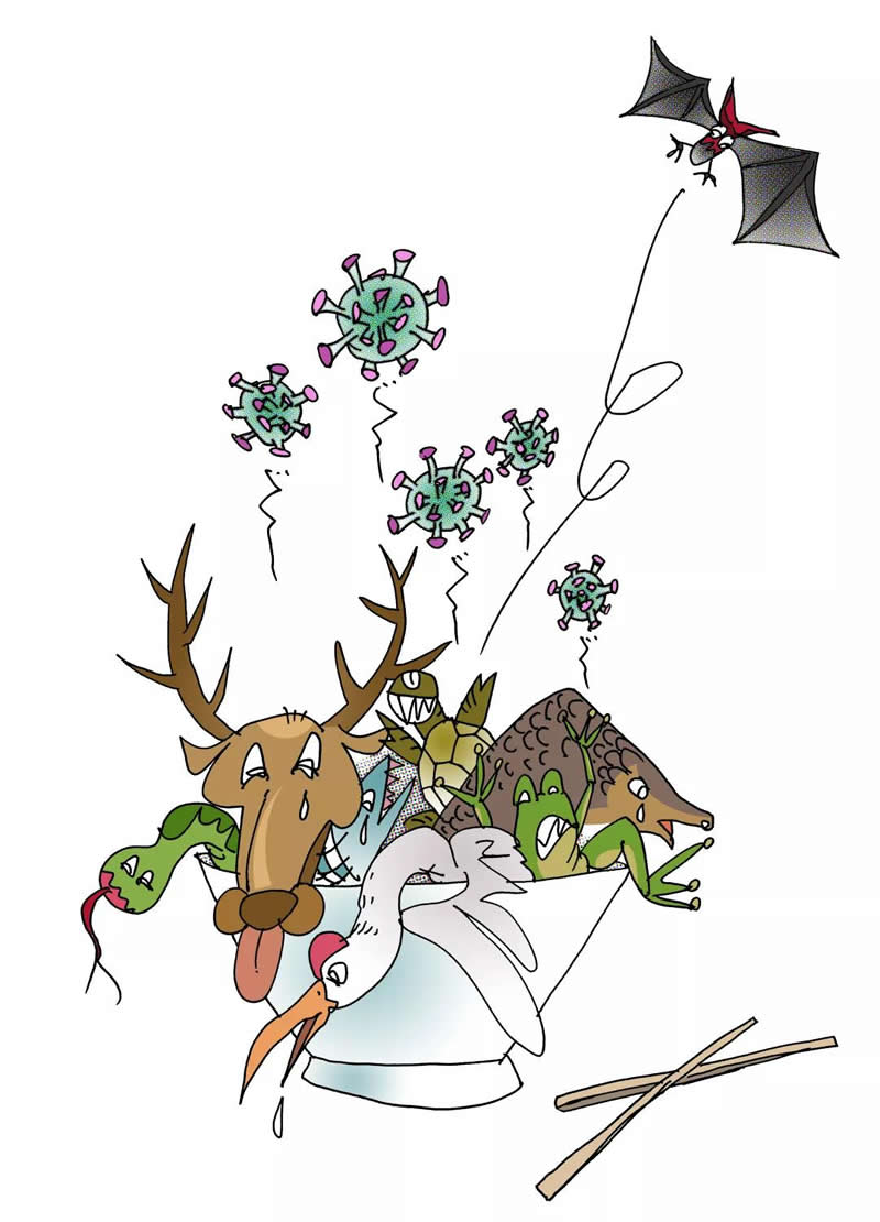 1582108969131535.jpg 1.jpg